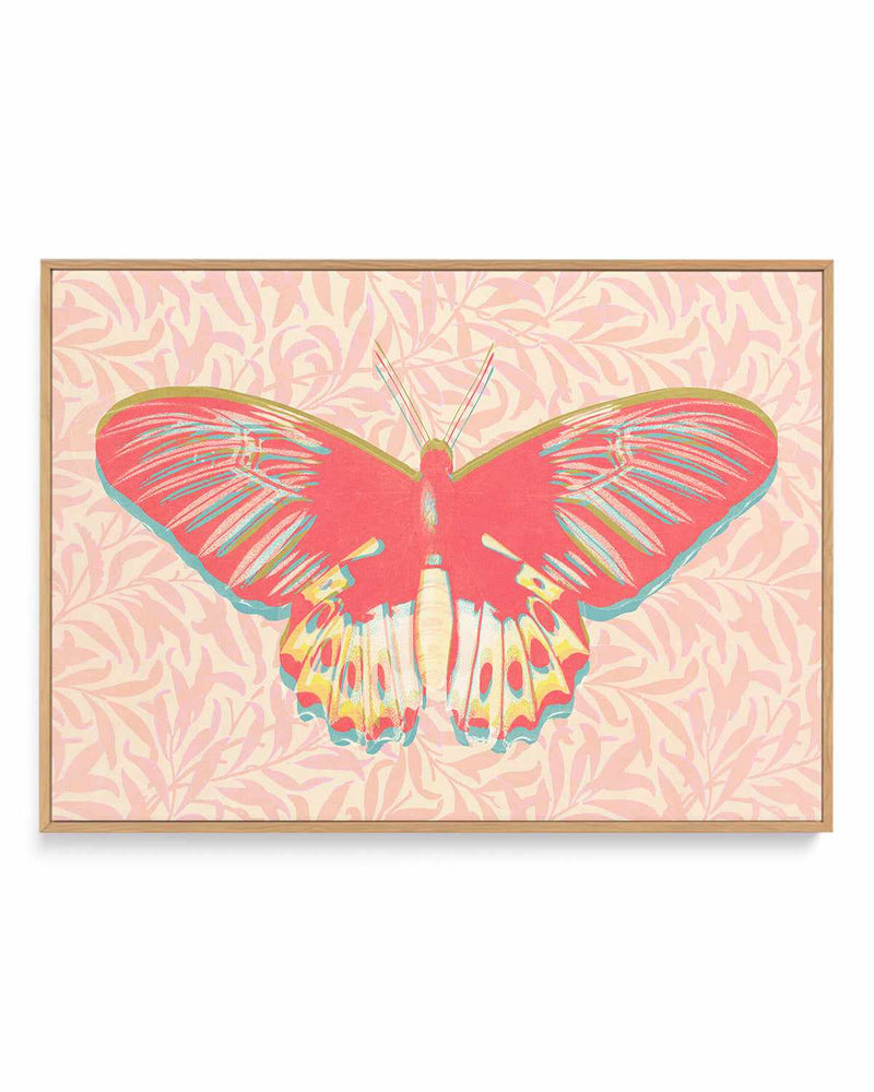 Pink Butterfly | Framed Canvas Art Print