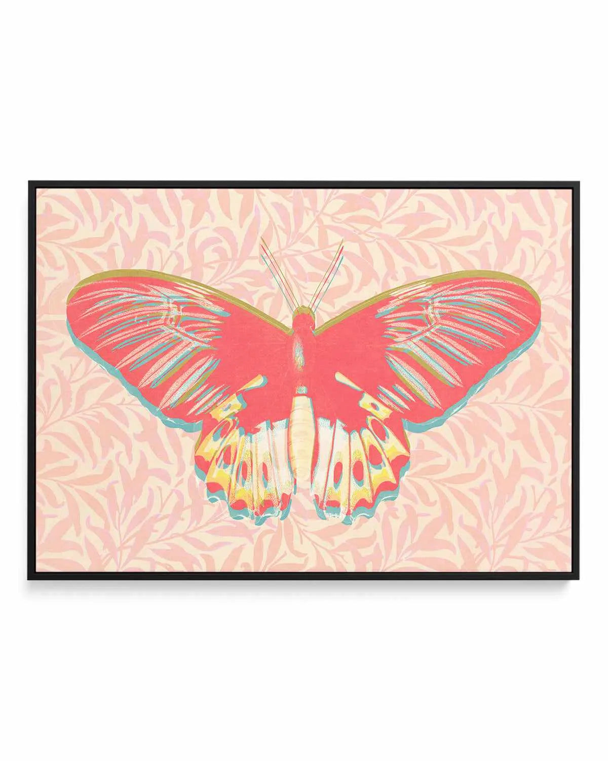 Pink Butterfly | Framed Canvas Art Print from Olive et Oriel where you can shop wallpaper and artworks online
