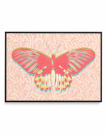 Pink Butterfly | Framed Canvas Art Print