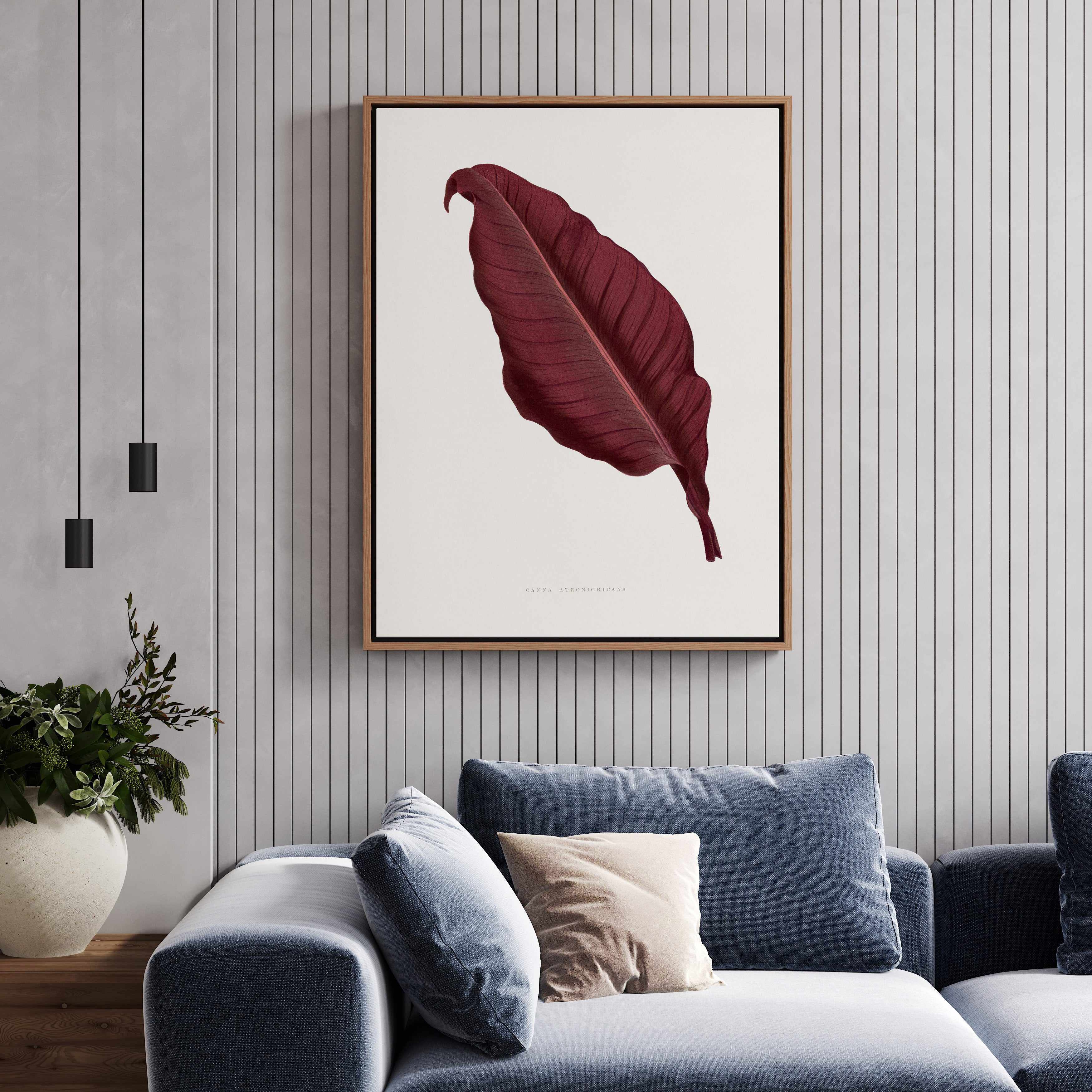 Pink Canna Atronigricans Leaf Illustration By Les Plantes a | Framed Canvas Art Print