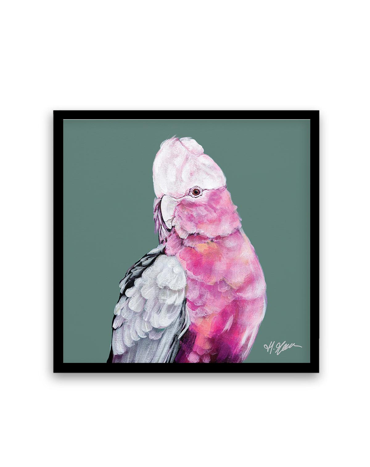 Pink Cockatoo I by Heylie Morris | Art Print