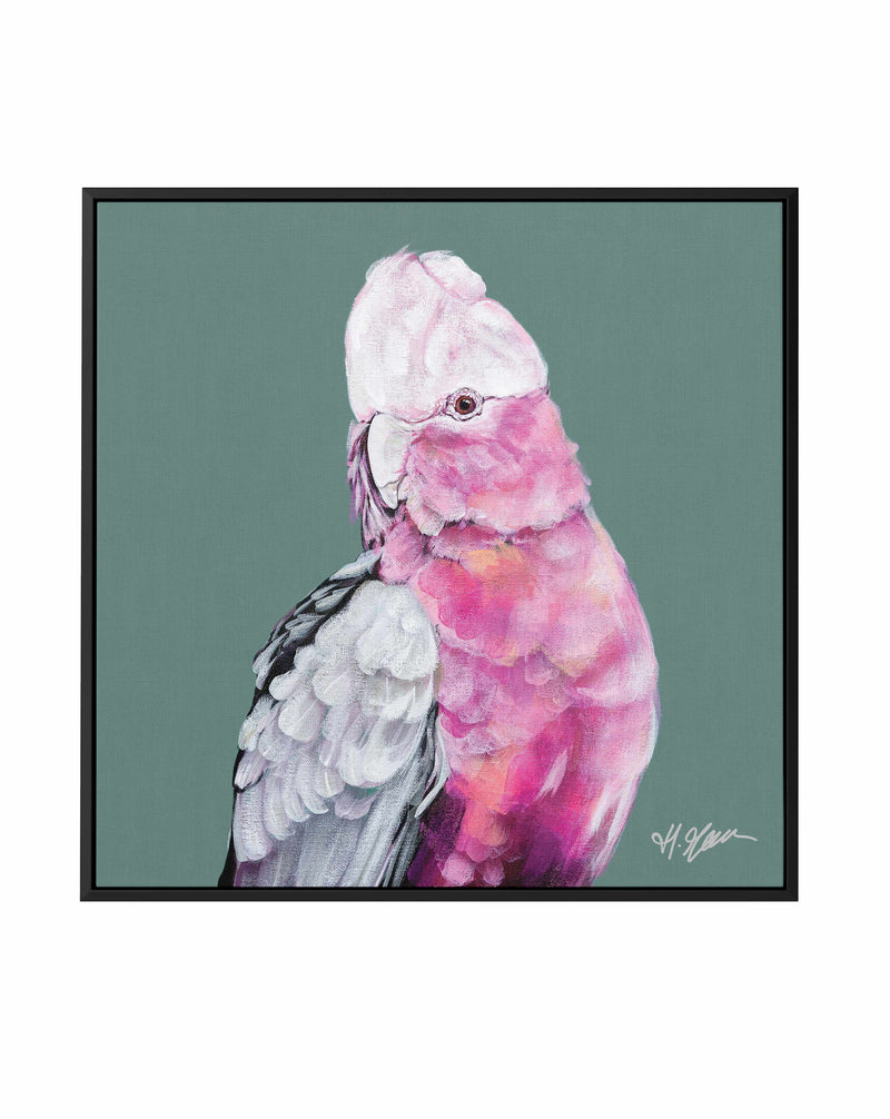 Pink Cockatoo I by Heylie Morris | Framed Canvas Art Print