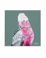 Pink Cockatoo I by Heylie Morris | Framed Canvas Art Print