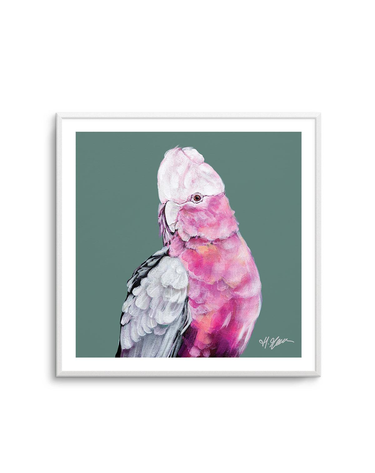 Pink Cockatoo I by Heylie Morris | Art Print