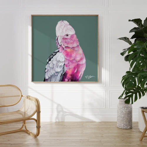 Pink Cockatoo I by Heylie Morris | Art Print