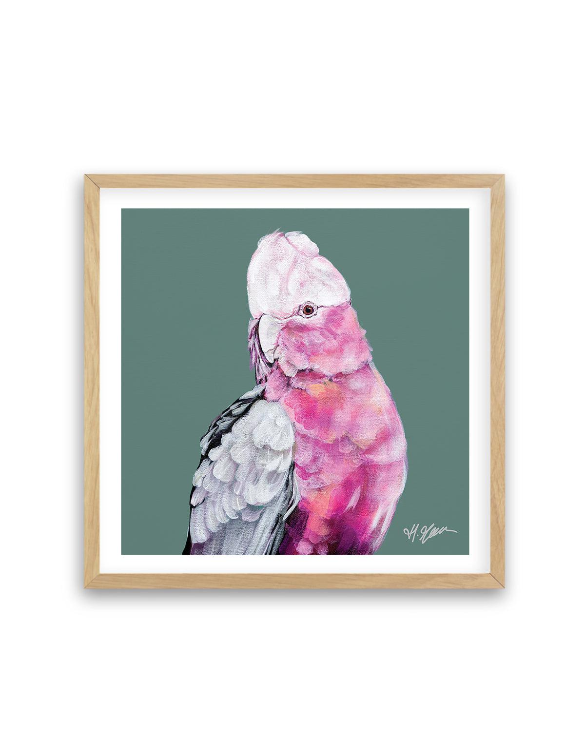 Pink Cockatoo I by Heylie Morris | Art Print