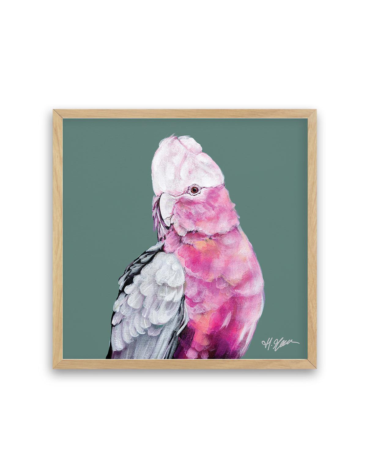 Pink Cockatoo I by Heylie Morris | Art Print