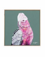 Pink Cockatoo I by Heylie Morris | Framed Canvas Art Print