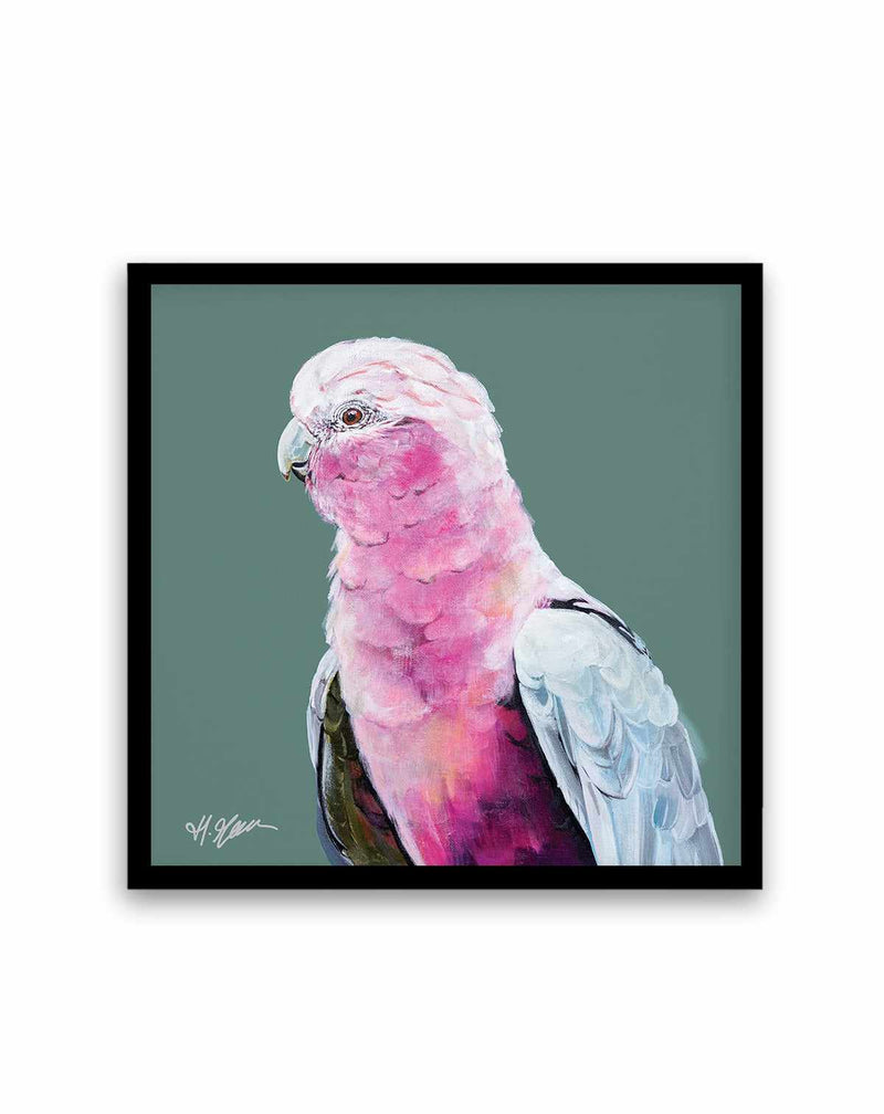 Pink Cockatoo II by Heylie Morris | Art Print