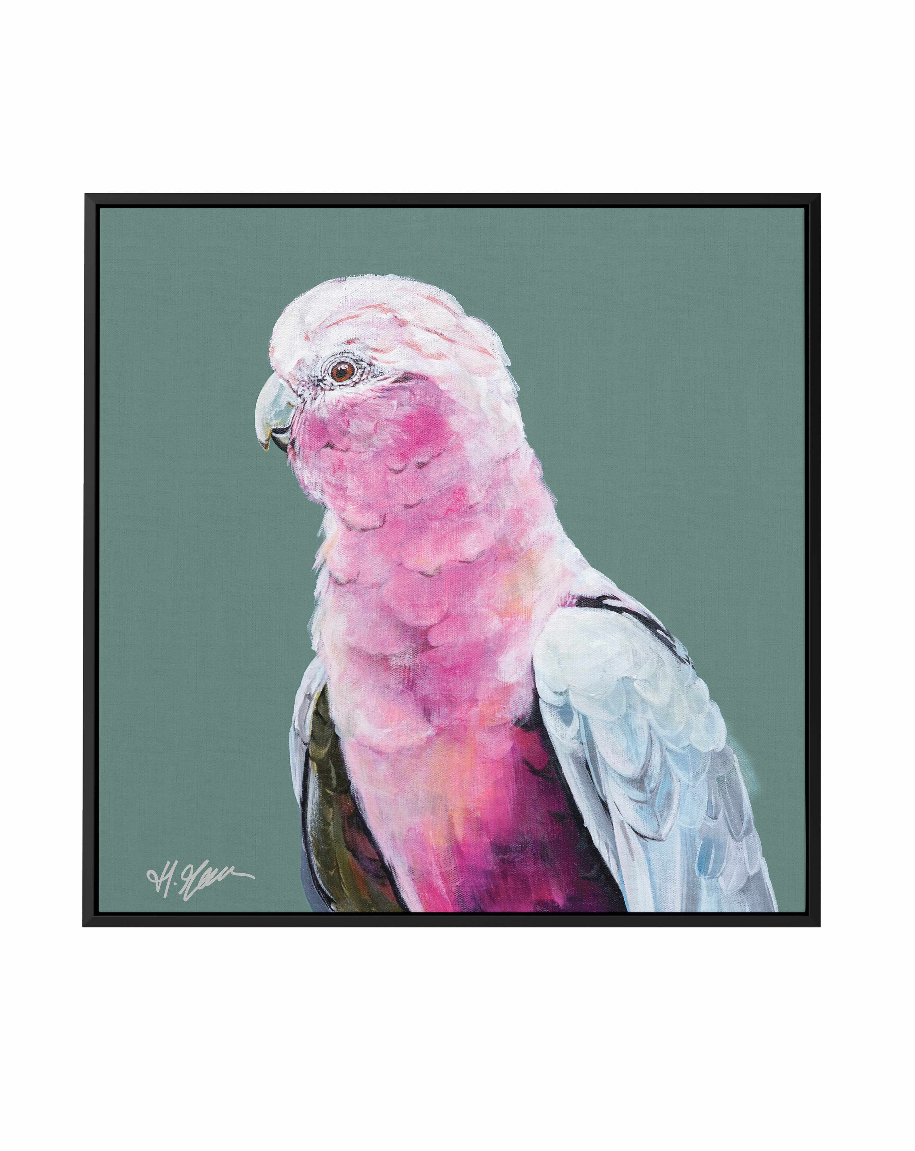 Pink Cockatoo II by Heylie Morris | Framed Canvas Art Print from Olive et Oriel where you can shop wallpaper and artworks online