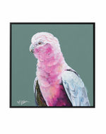 Pink Cockatoo II by Heylie Morris | Framed Canvas Art Print