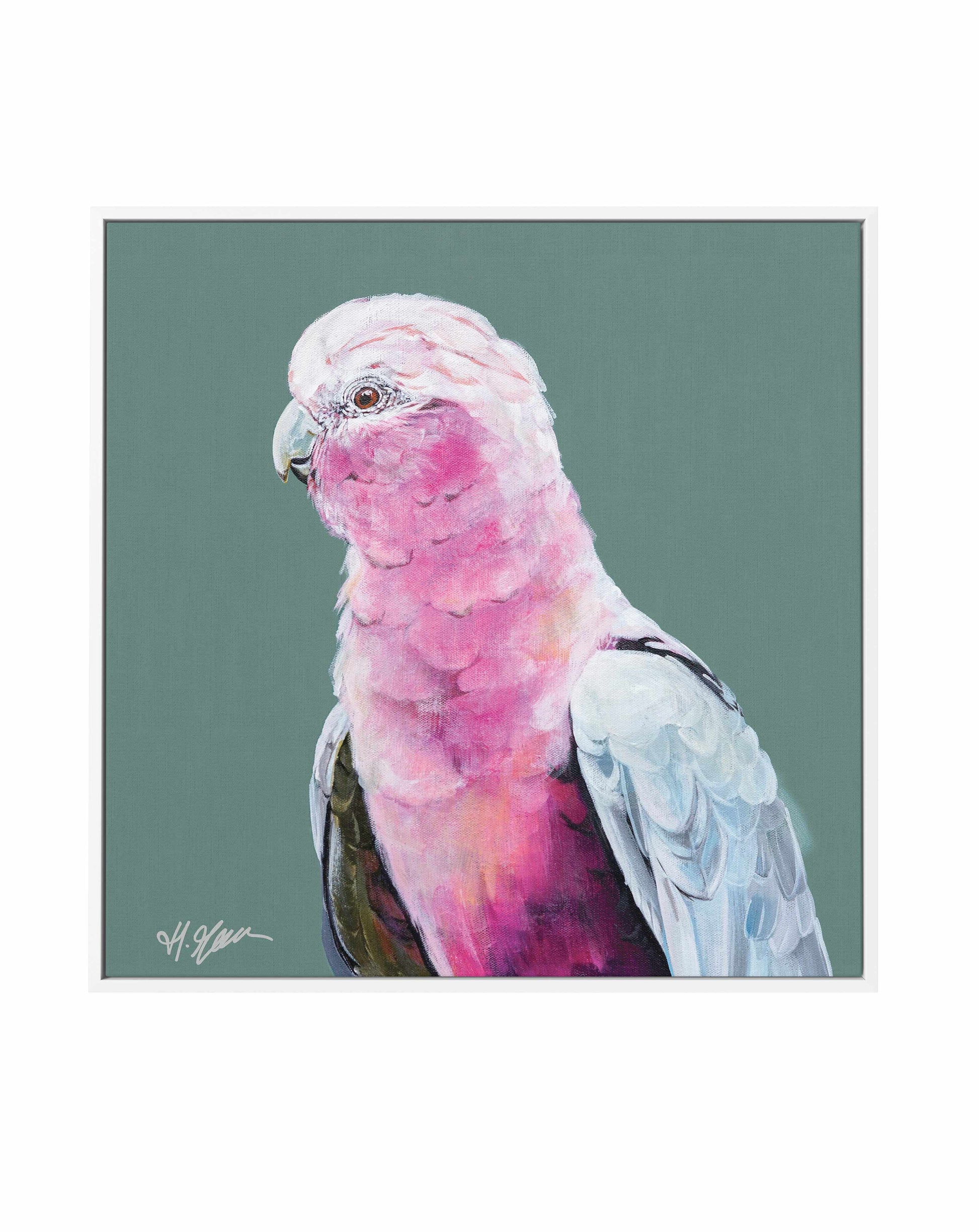 Pink Cockatoo II by Heylie Morris | Framed Canvas Art Print from Olive et Oriel where you can shop wallpaper and artworks online
