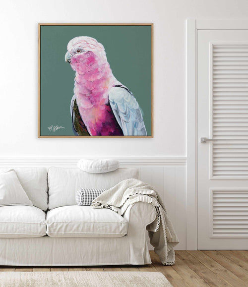 Pink Cockatoo II by Heylie Morris | Framed Canvas Art Print