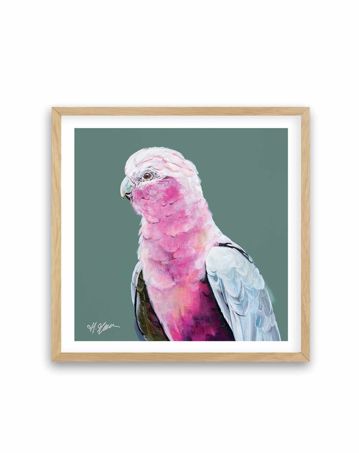 Pink Cockatoo II by Heylie Morris | Art Print