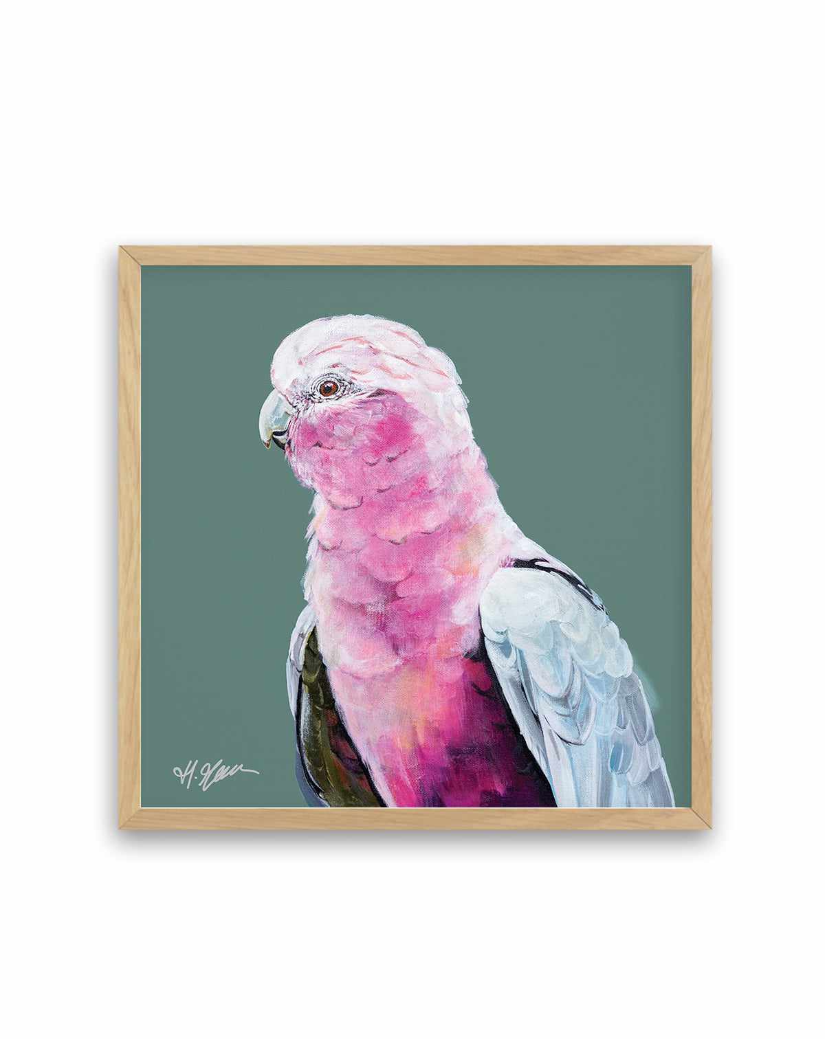 Pink Cockatoo II by Heylie Morris | Art Print