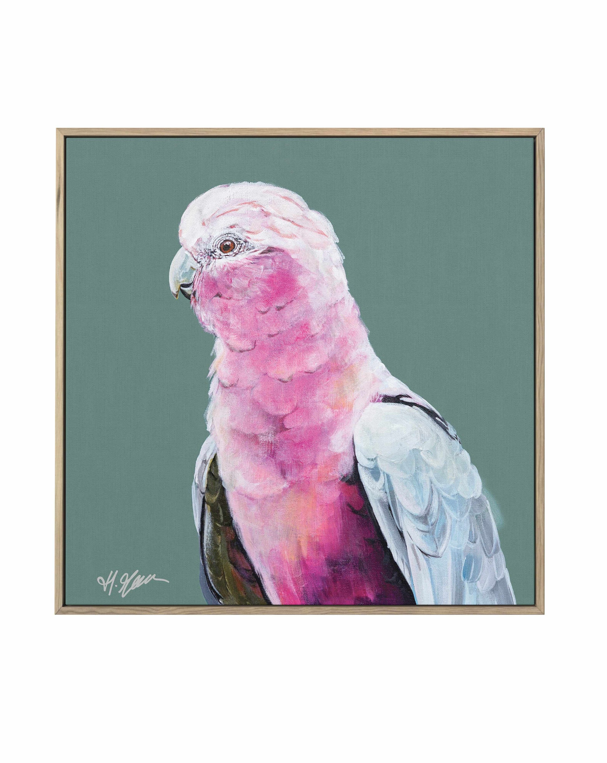 Pink Cockatoo II by Heylie Morris | Framed Canvas Art Print from Olive et Oriel where you can shop wallpaper and artworks online