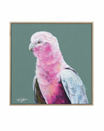 Pink Cockatoo II by Heylie Morris | Framed Canvas Art Print