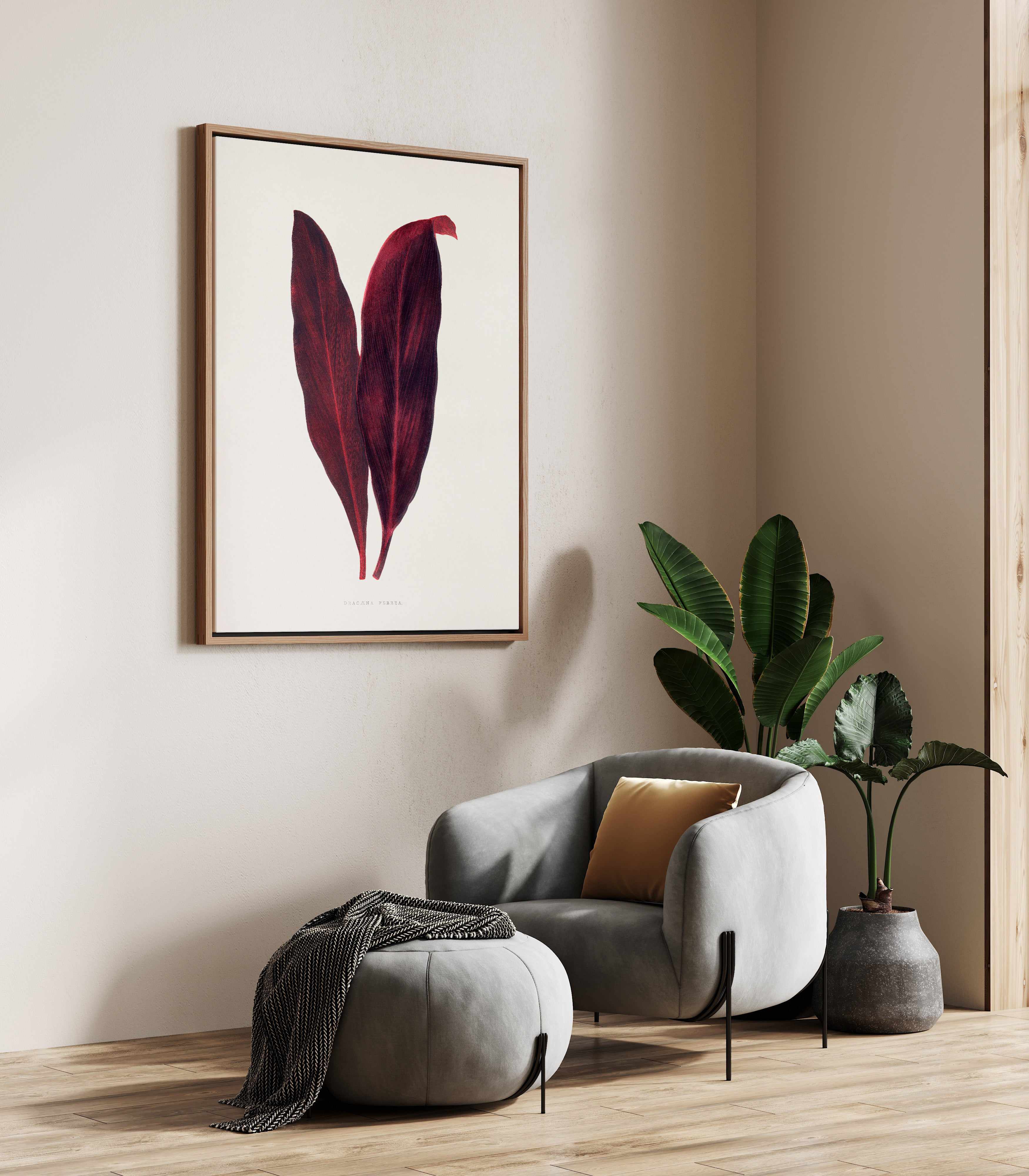 Pink Dracaena Ferrea Leaf Illustration By Les Plantes a | Framed Canvas Art Print