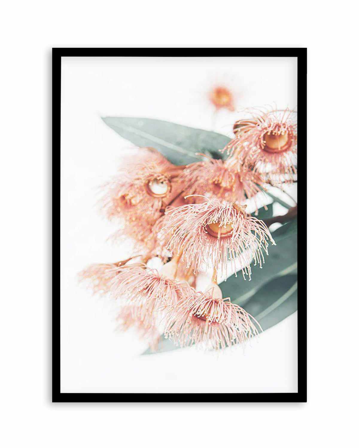 Pink Eucalyptus Art Print