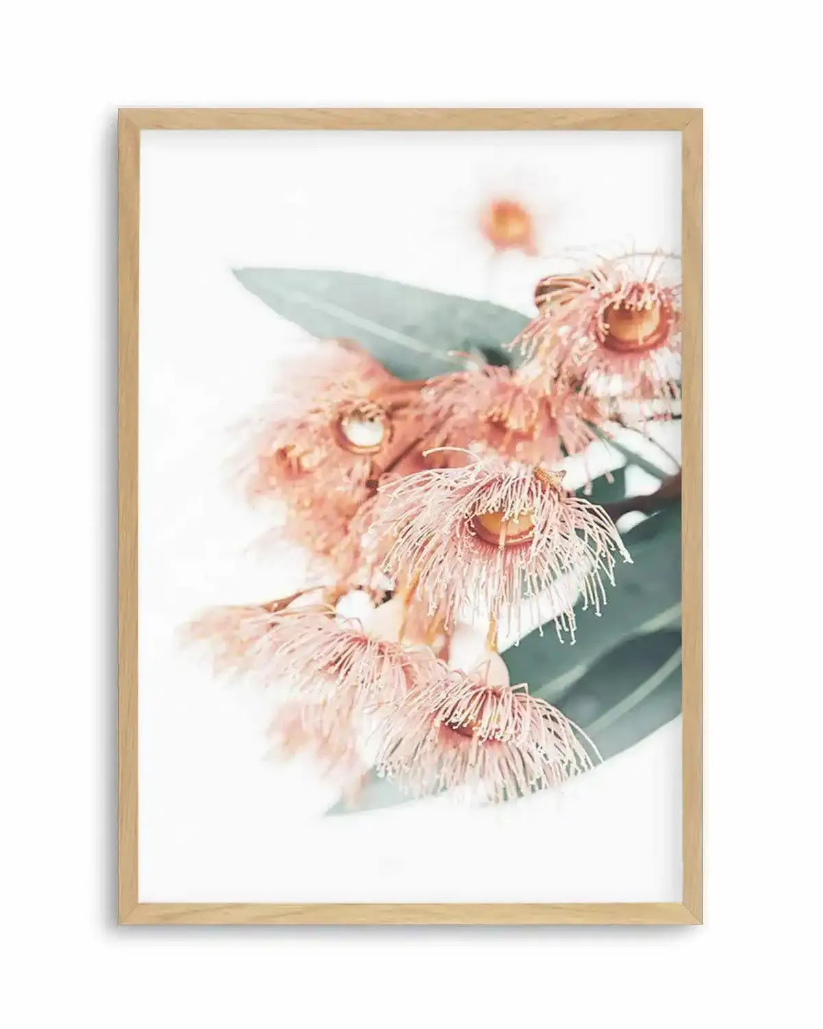 Pink Eucalyptus Art Print from Olive et Oriel where you can shop wallpaper and artworks online
