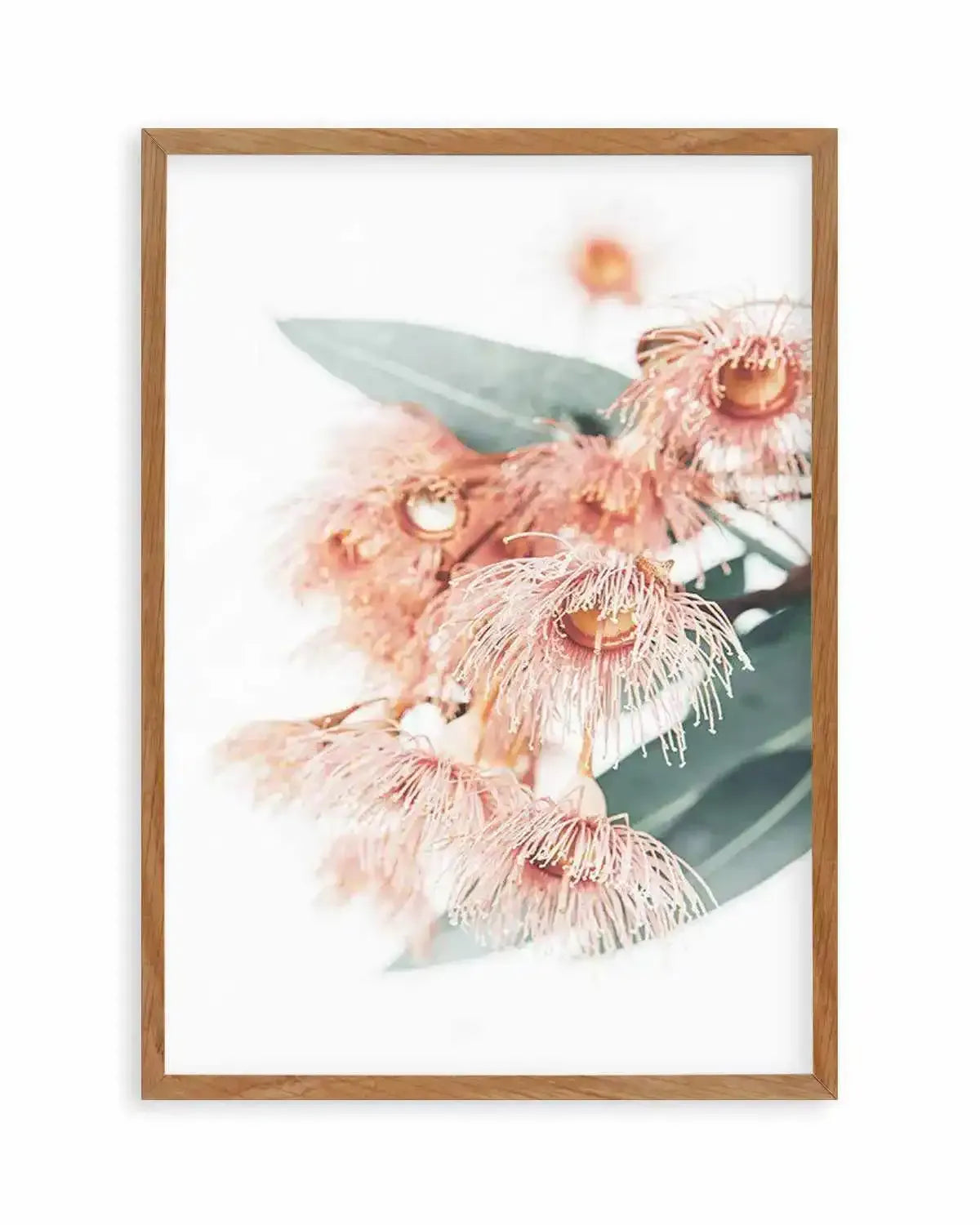 Pink Eucalyptus Art Print from Olive et Oriel where you can shop wallpaper and artworks online