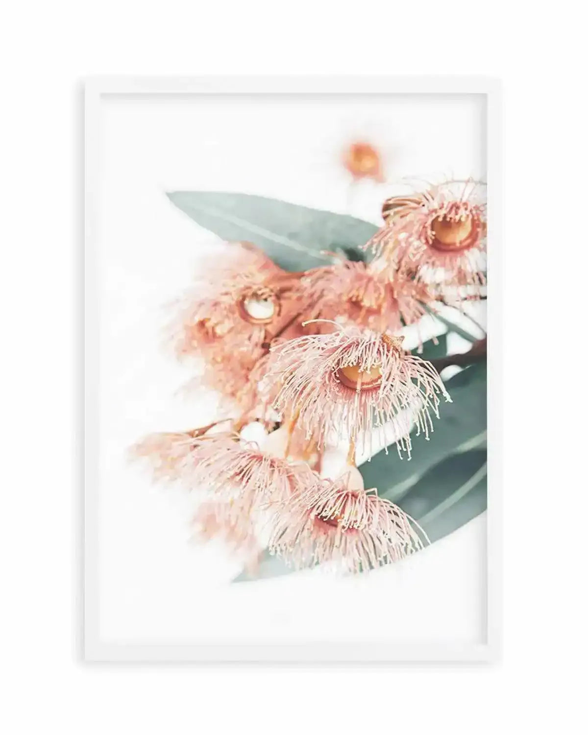 Pink Eucalyptus Art Print from Olive et Oriel where you can shop wallpaper and artworks online