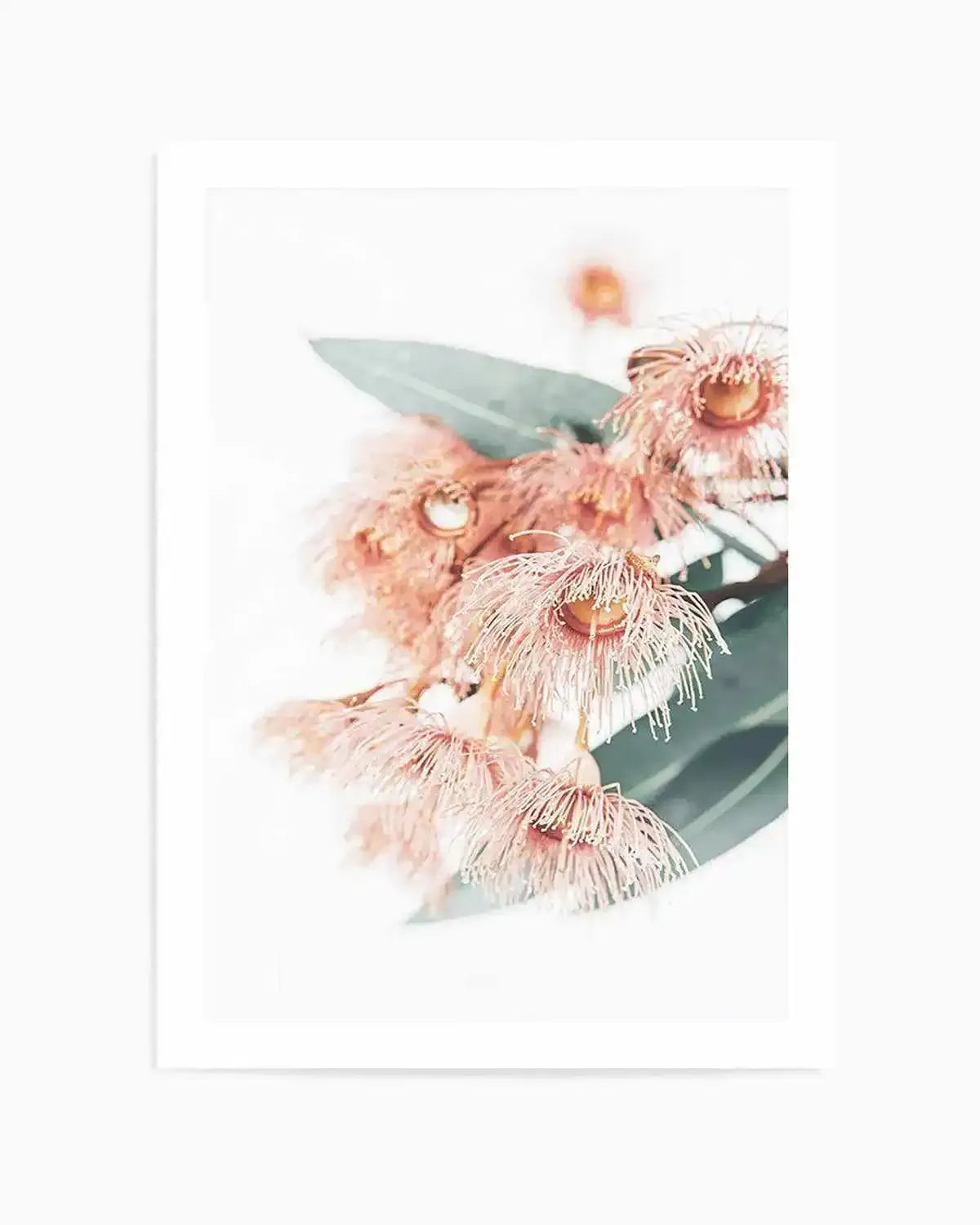 Pink Eucalyptus Art Print from Olive et Oriel where you can shop wallpaper and artworks online
