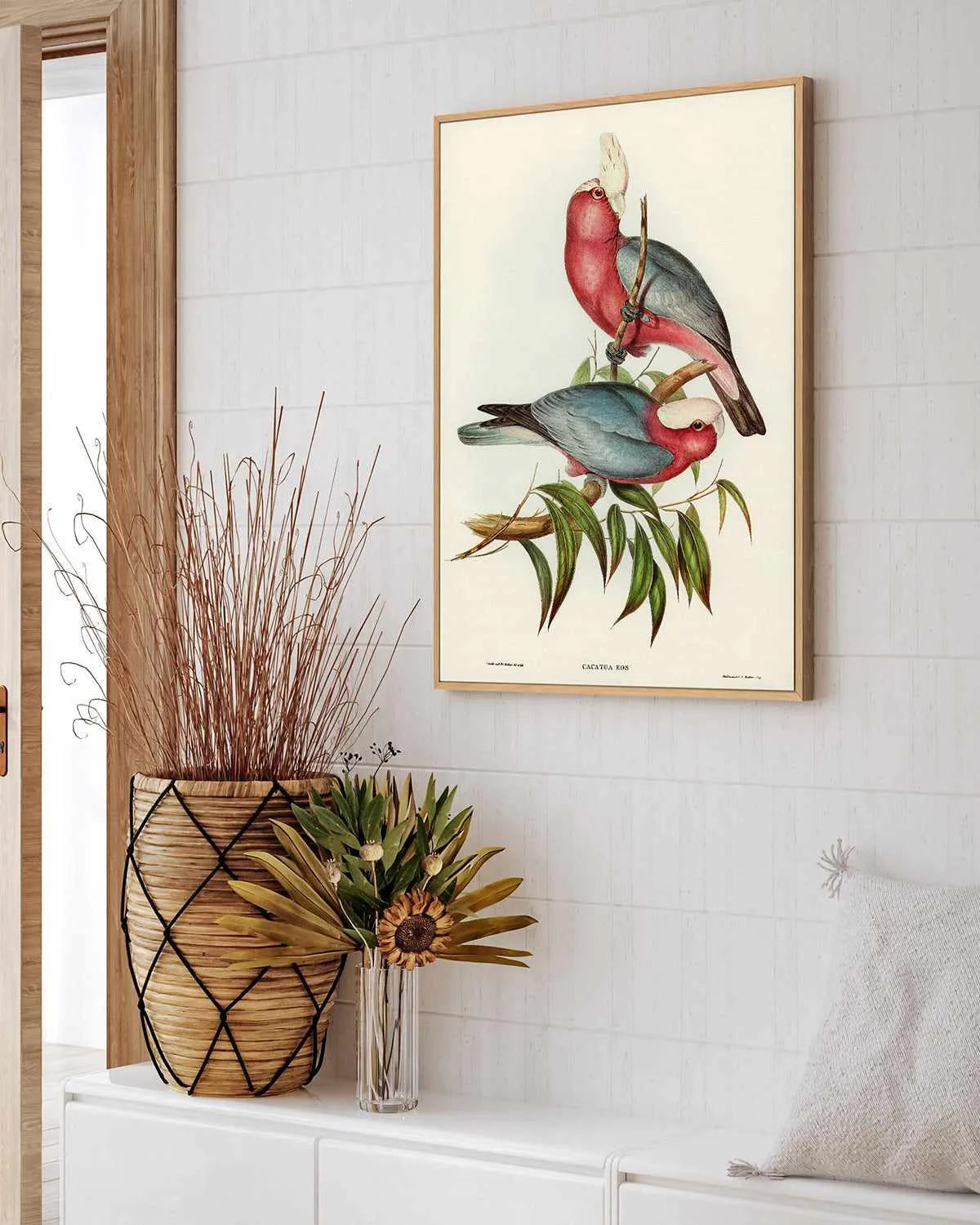 Pink Gallah Vintage Australian Bird Illustration | Framed Canvas Art Print from Olive et Oriel where you can shop wallpaper and artworks online