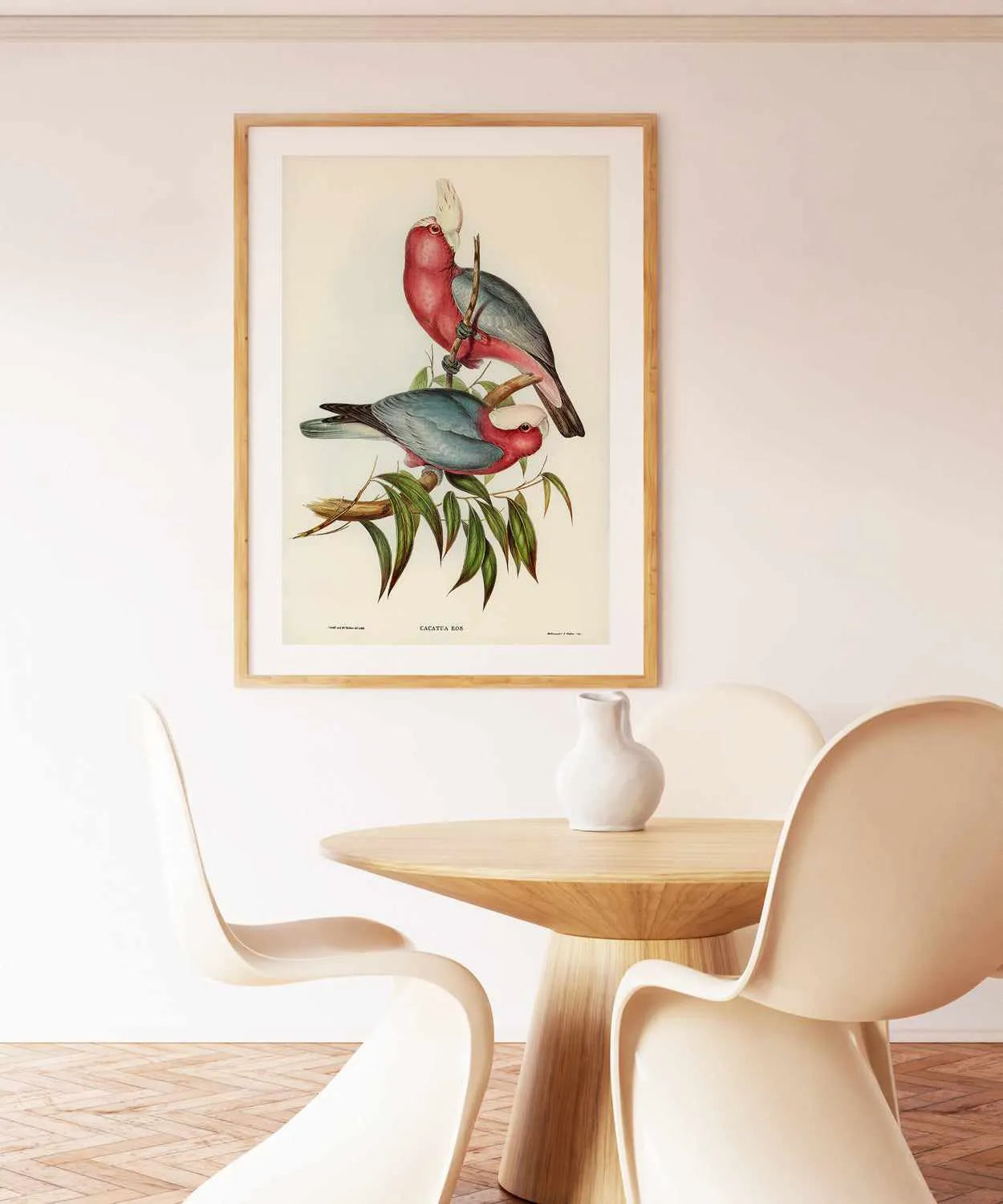 Pink Gallah Vintage Australian Bird Illustration Art Print from Olive et Oriel where you can shop wallpaper and artworks online