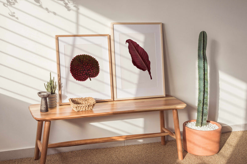 Pink Gesneria Exoniensis Leaf Illustration By Les Plantes a | Art Print