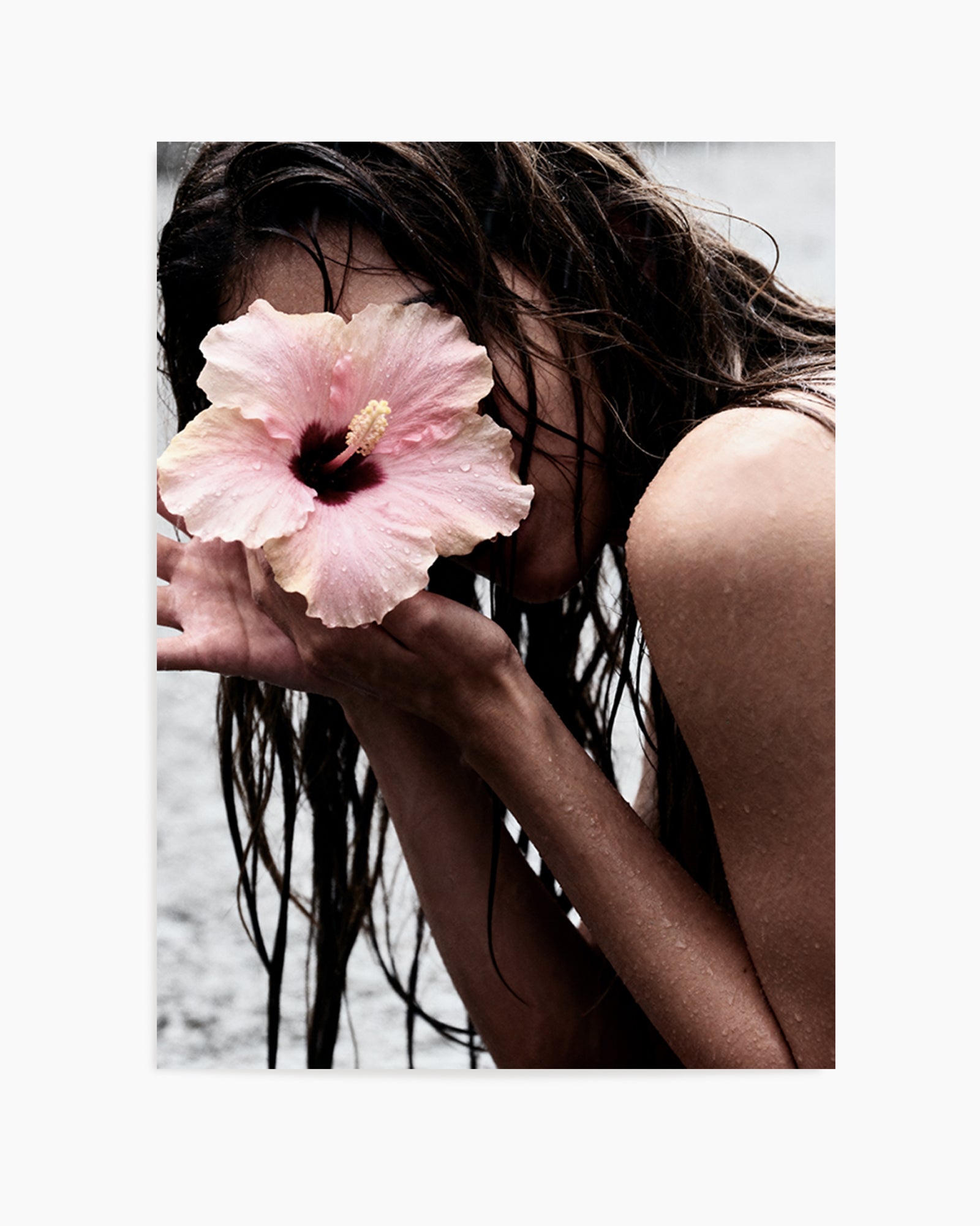Pink Hibiscus | Art Print from Olive et Oriel where you can shop wallpaper and artworks online