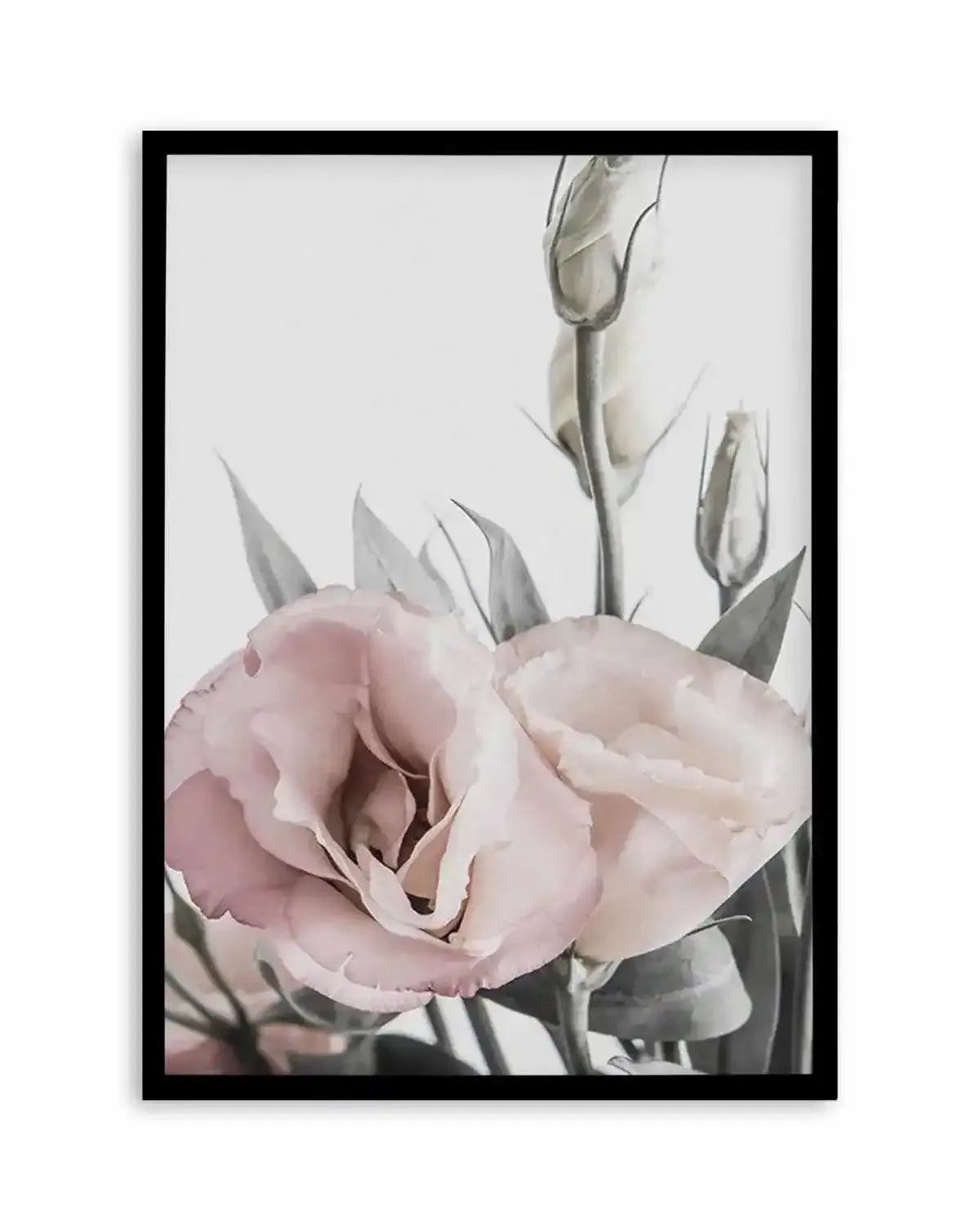 Pink Lisianthus I Art Print from Olive et Oriel where you can shop wallpaper and artworks online