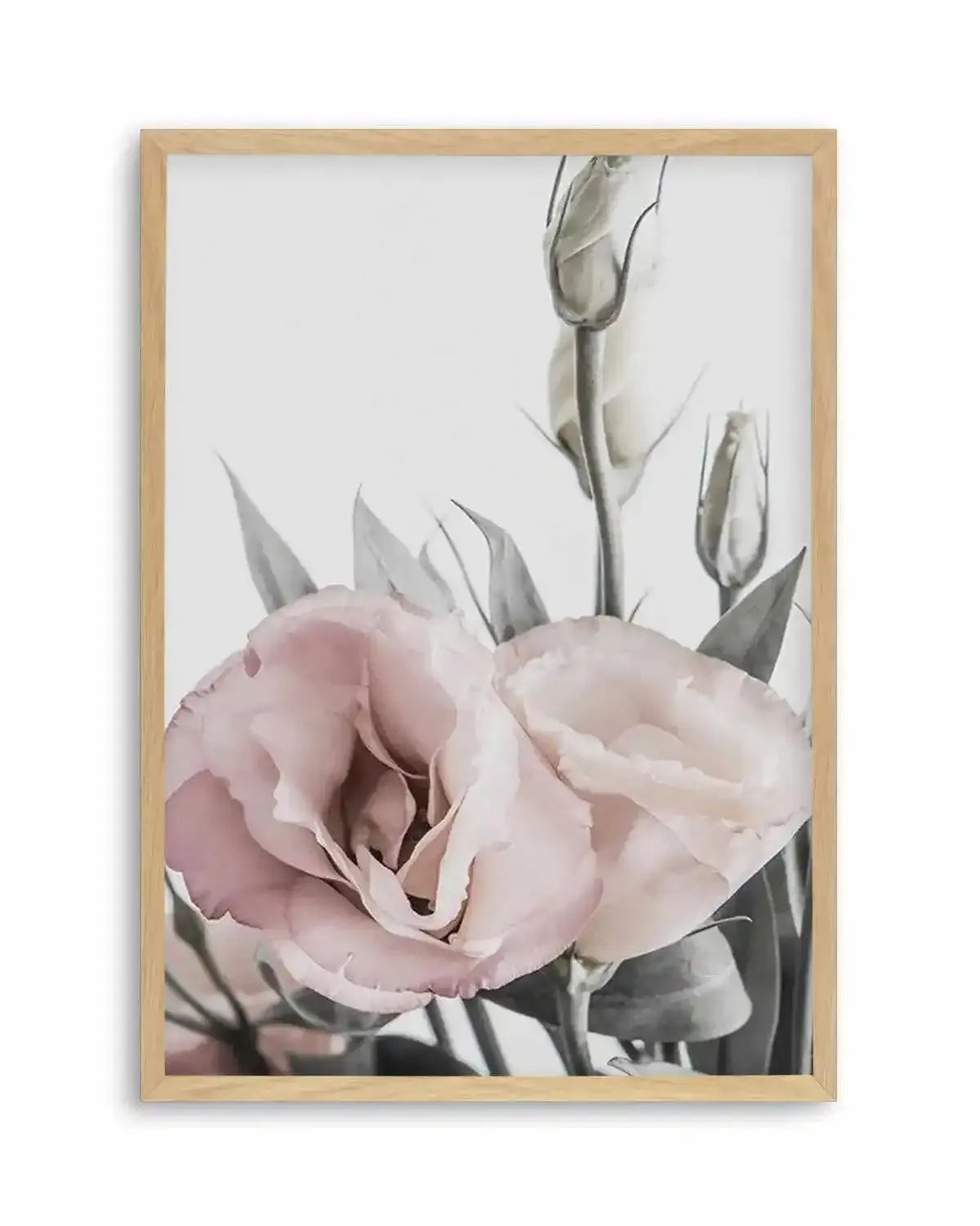 Pink Lisianthus I Art Print from Olive et Oriel where you can shop wallpaper and artworks online