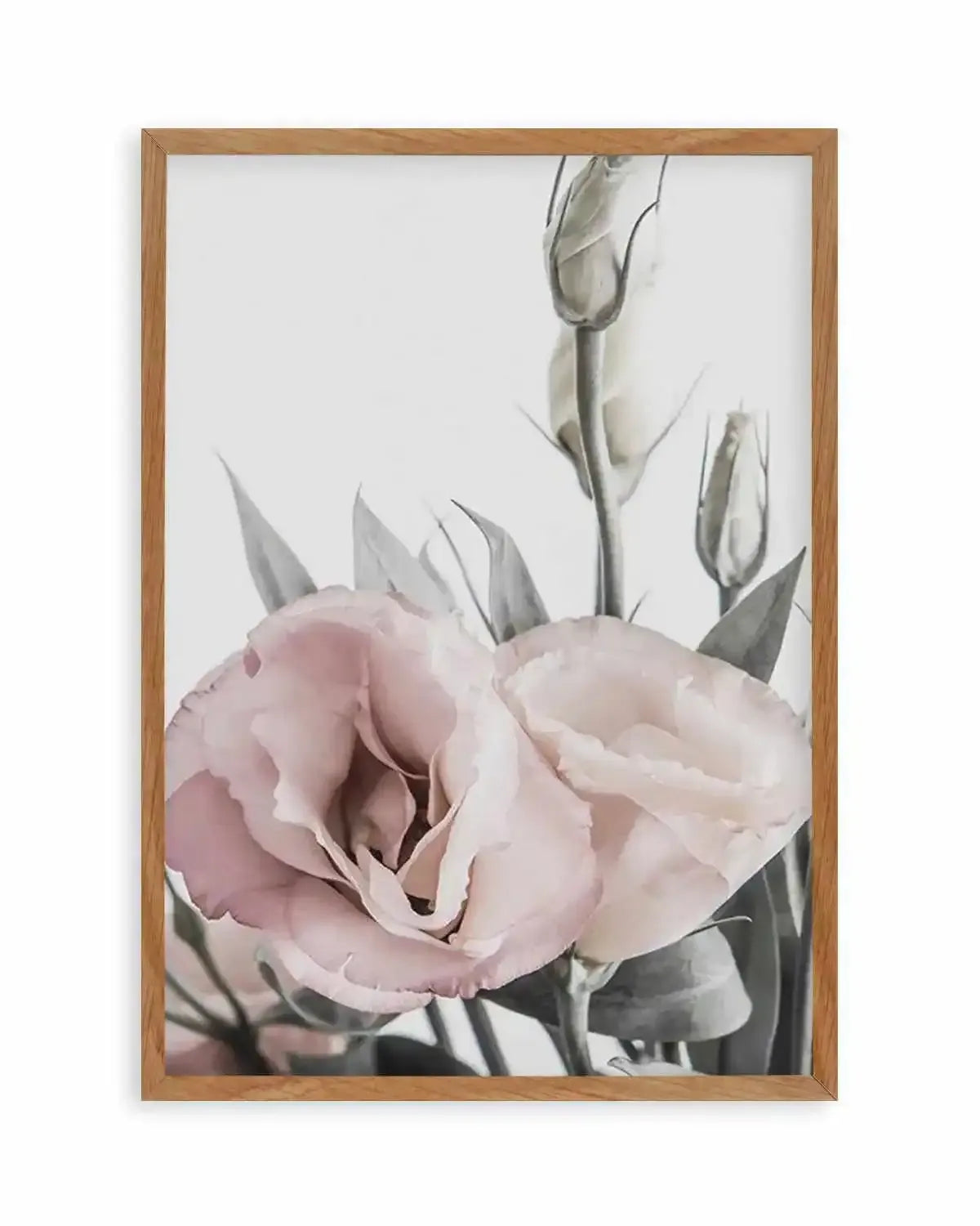 Pink Lisianthus I Art Print from Olive et Oriel where you can shop wallpaper and artworks online
