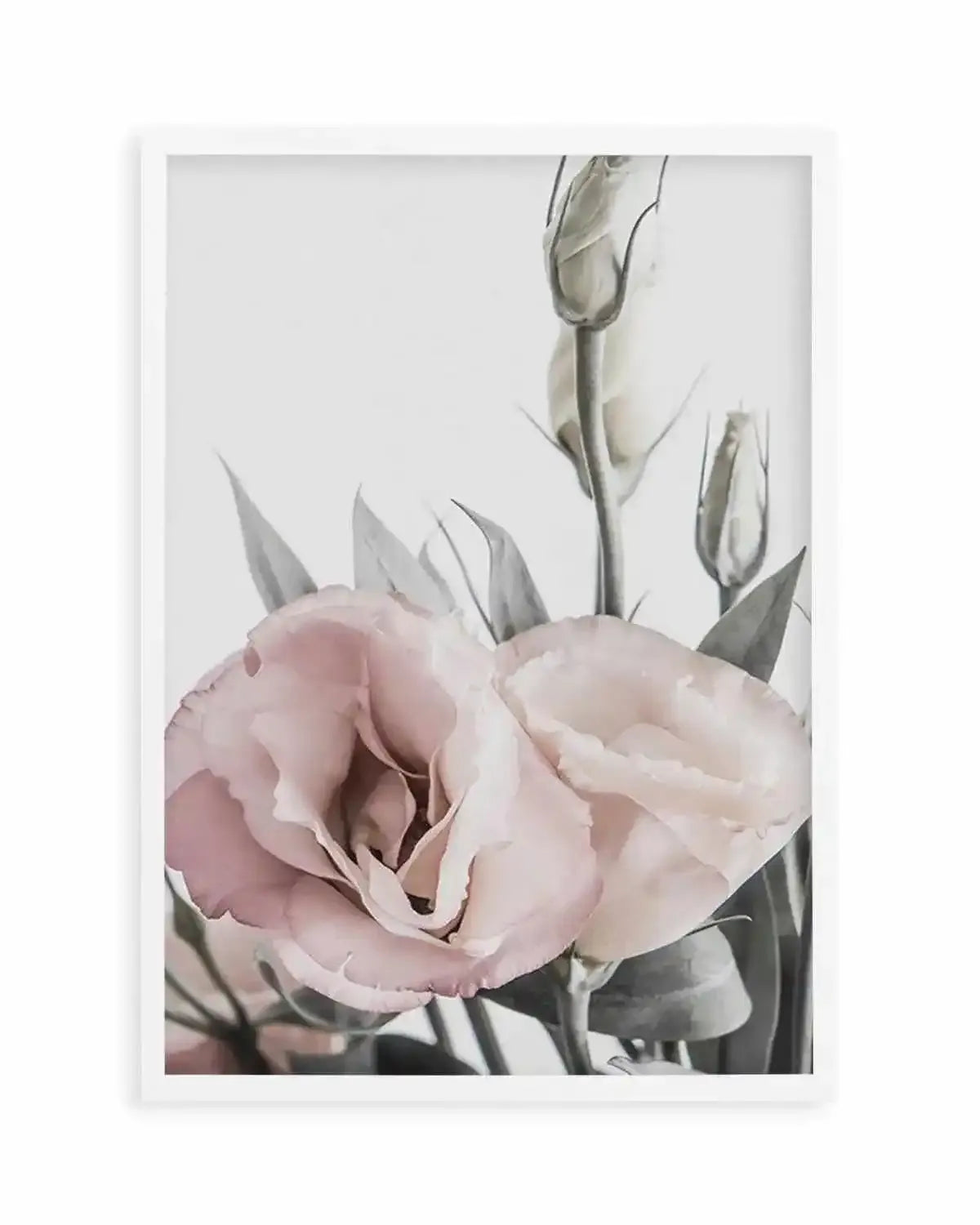 Pink Lisianthus I Art Print from Olive et Oriel where you can shop wallpaper and artworks online