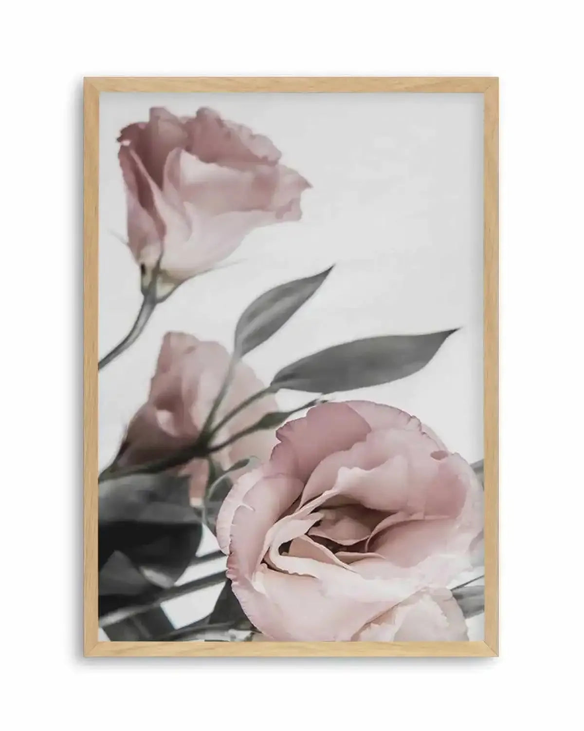 Pink Lisianthus II Art Print from Olive et Oriel where you can shop wallpaper and artworks online