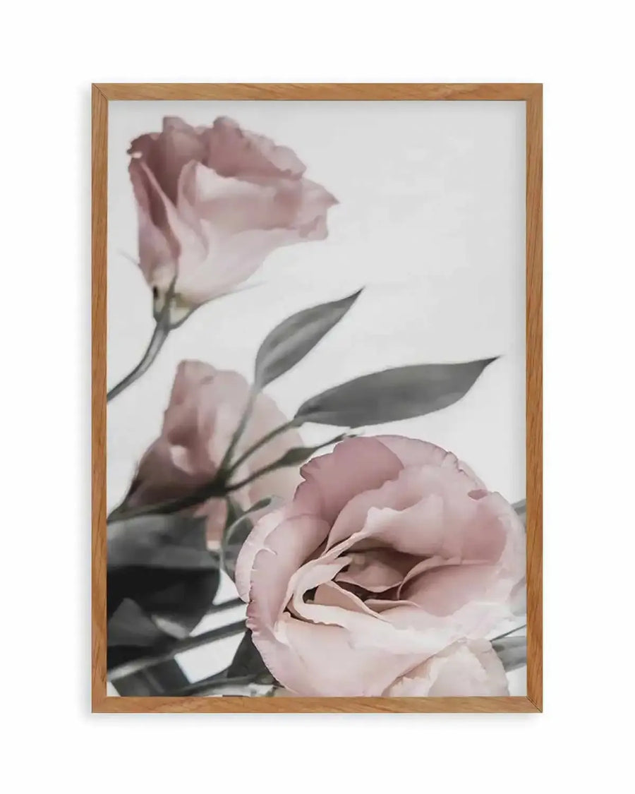 Premium pink-lisianthus-no-ii from Olive et Oriel