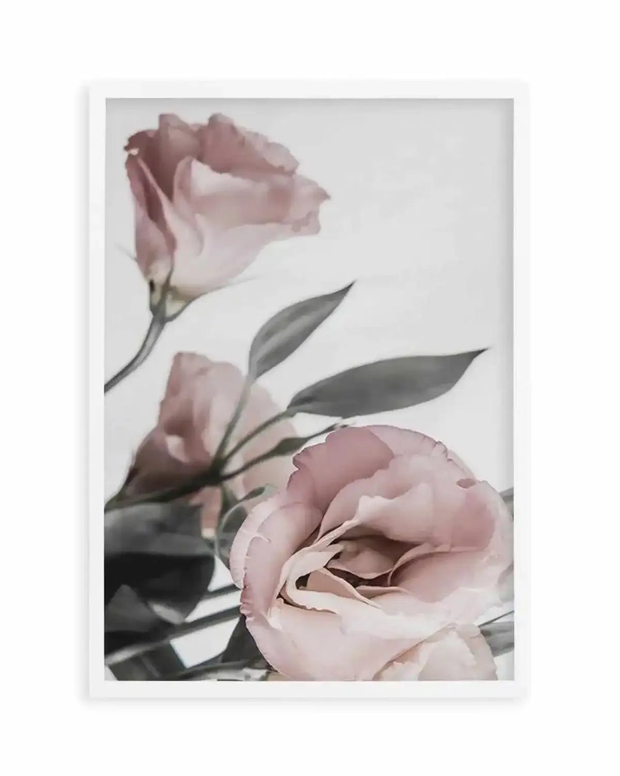 Premium pink-lisianthus-no-ii from Olive et Oriel