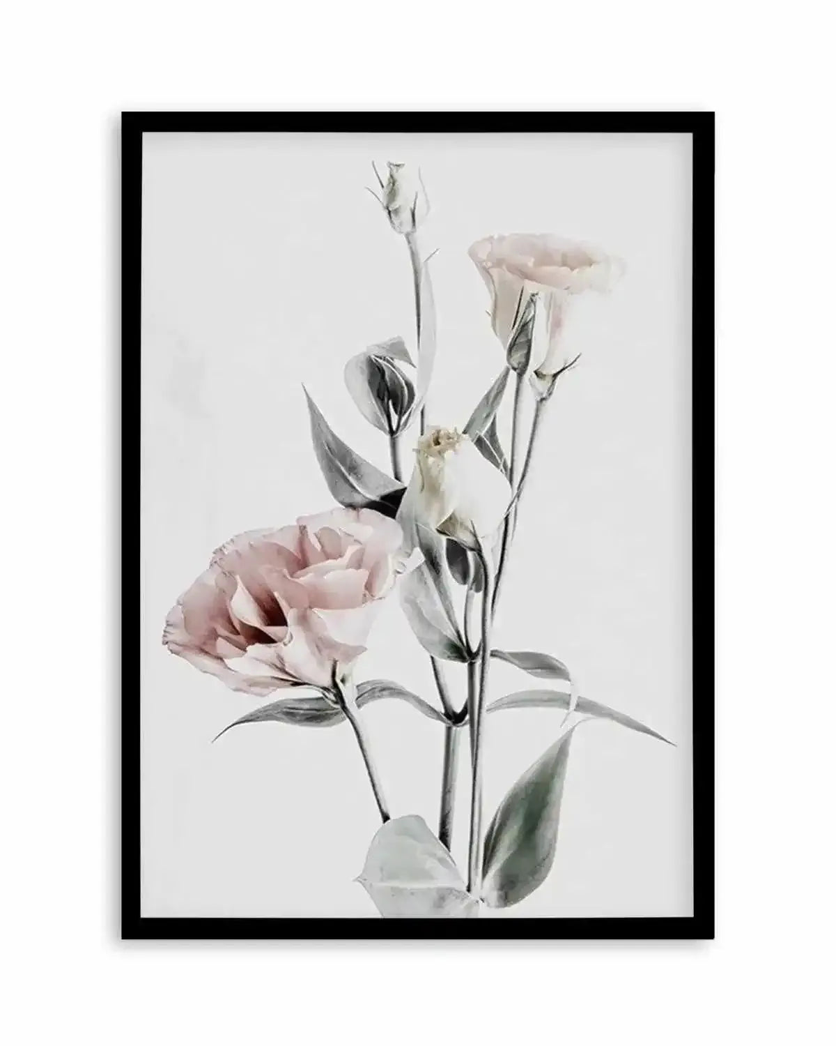 Pink Lisianthus IV Art Print from Olive et Oriel where you can shop wallpaper and artworks online