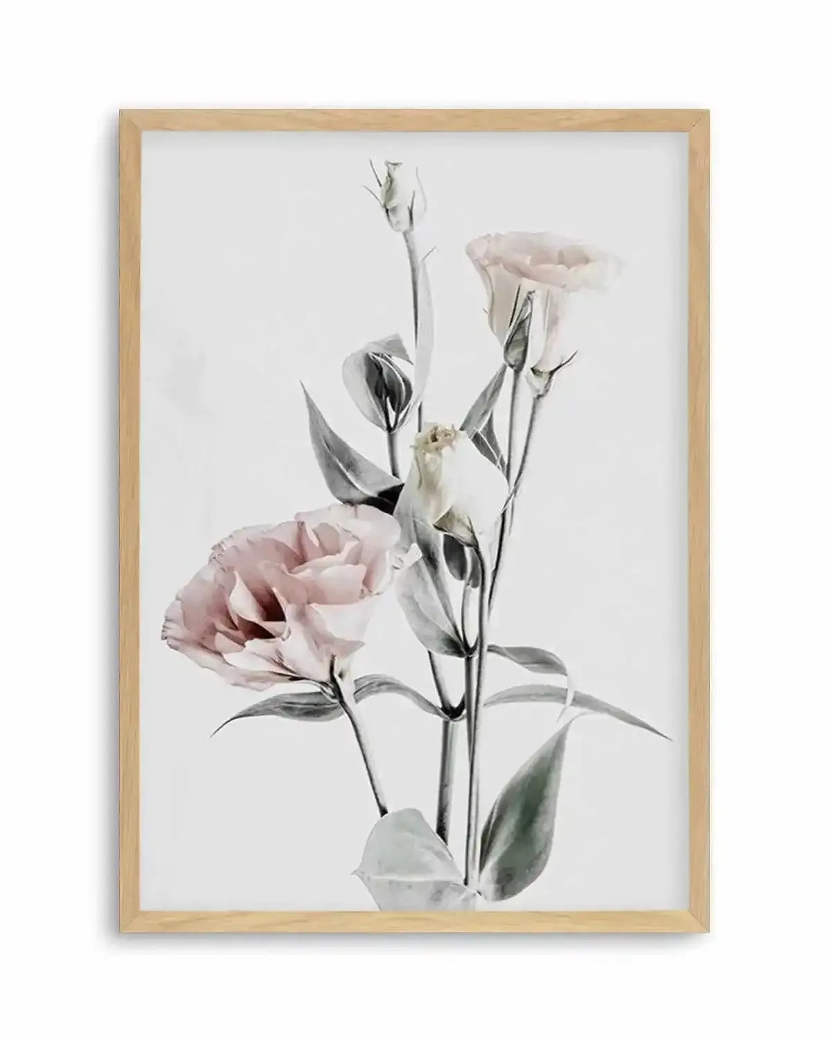 Pink Lisianthus IV Art Print from Olive et Oriel where you can shop wallpaper and artworks online