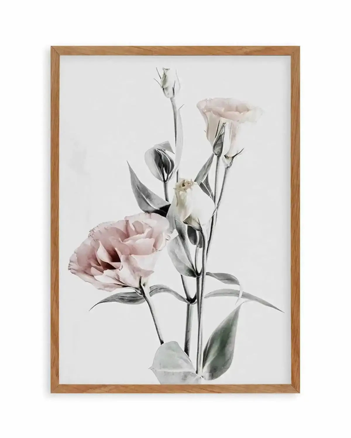 Pink Lisianthus IV Art Print from Olive et Oriel where you can shop wallpaper and artworks online