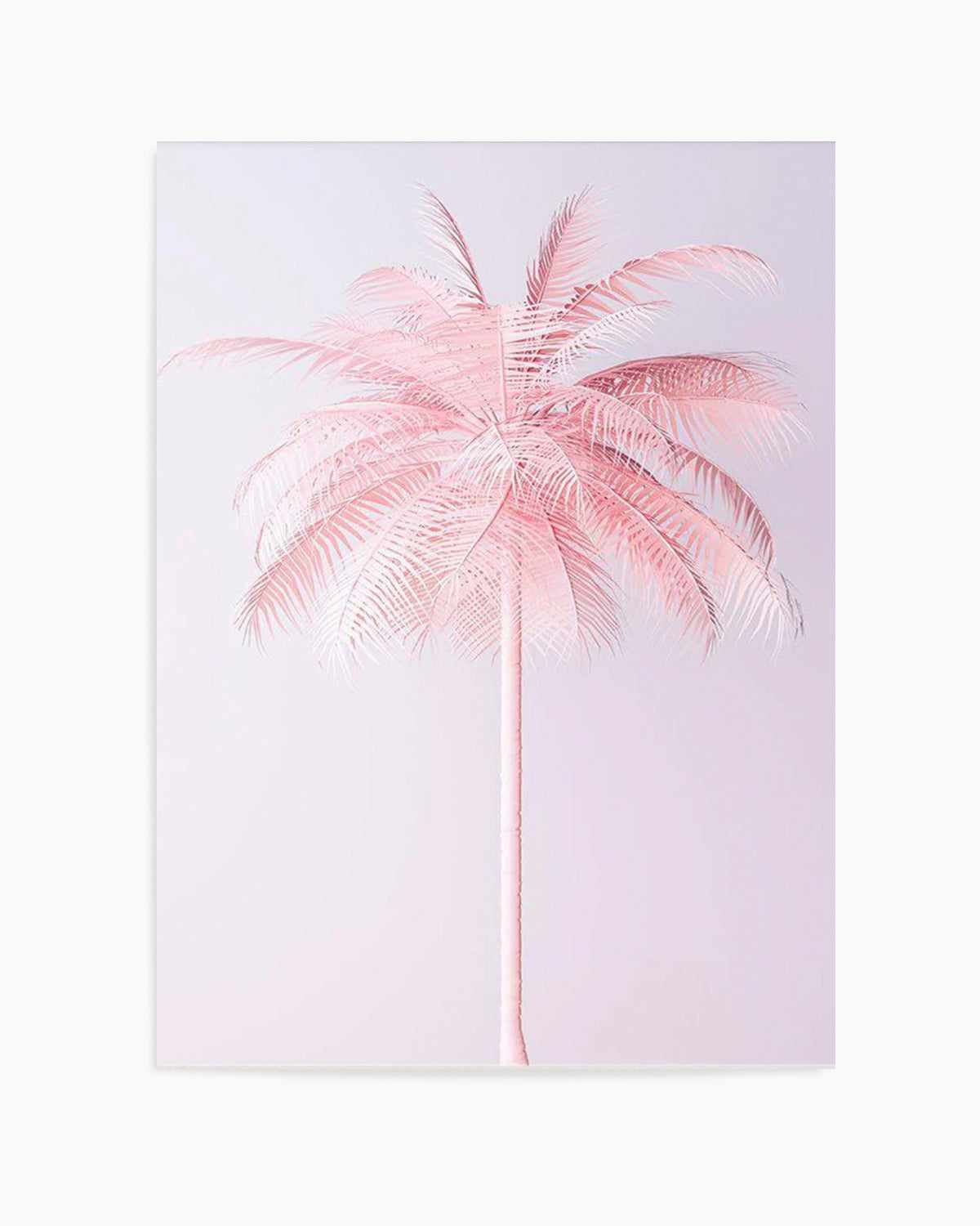 Pink Palm | The OG Art Print