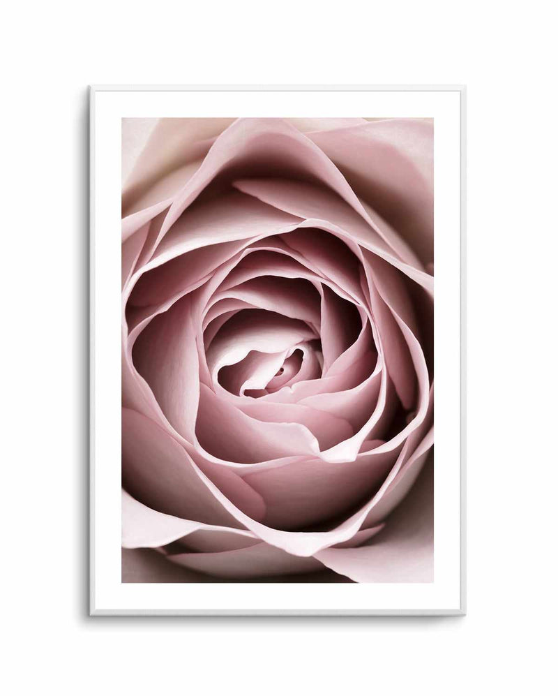 Pink Rose No 04 By Studio III | Art Print from Olive et Oriel where you can shop wallpaper and artworks online
