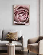 Pink Rose No 04 By Studio III | Framed Canvas Art Print