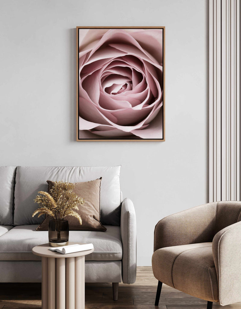 Pink Rose No 04 By Studio III | Framed Canvas Art Print