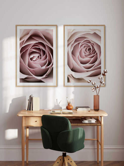 Pink Rose No 04 By Studio III | Art Print