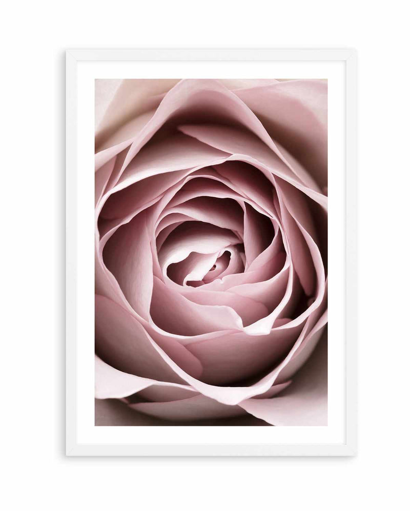 Pink Rose No 04 By Studio III | Art Print