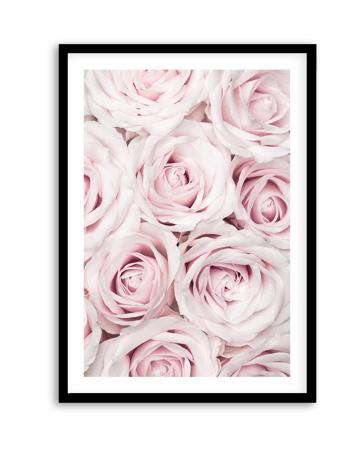 Pink Roses No 03 By Studio III | Art Print