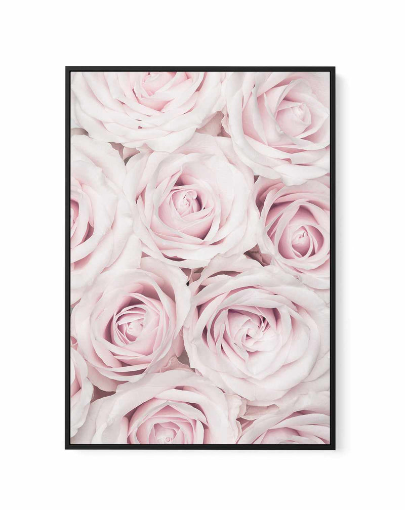 Pink Roses No 03 By Studio III | Framed Canvas Art Print