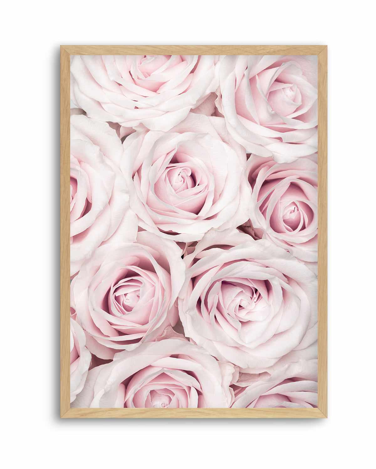 Pink Roses No 03 By Studio III | Art Print